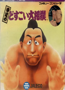 Terao no Dosukoi Oozumou (Japan) box cover front